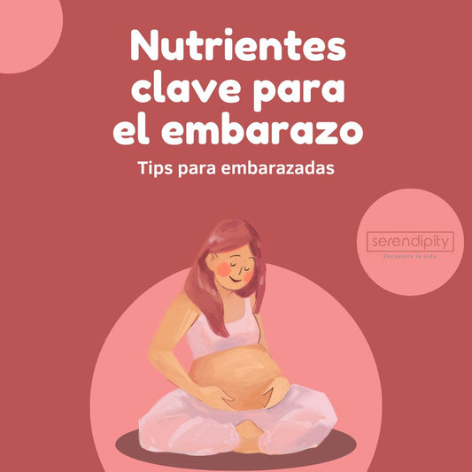 Caldo de Huesos en el Embarazo: ¿Por Qué los Ginecólogos lo Recomiendan? (Guía Completa 2025)