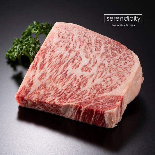 ¿Por qué el caldo de Wagyu es conocido por su calidad premium?