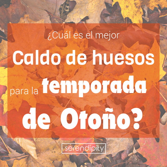 ¿Cuál es el mejor caldo de huesos para la temporada de otoño?