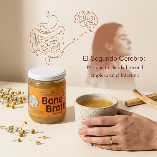 El Segundo Cerebro: Por qué tu claridad mental empieza en el intestino