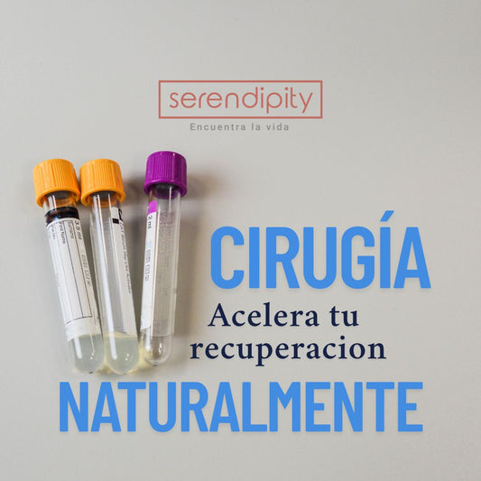 Caldo de Huesos Postcirugía: El Alimento que Acelera la Cicatrización y Reduce el Dolor (Guía Completa)