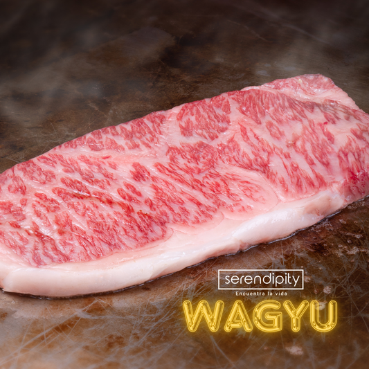 ¿Cuáles son los beneficios del paquete de bone broth Wagyu?