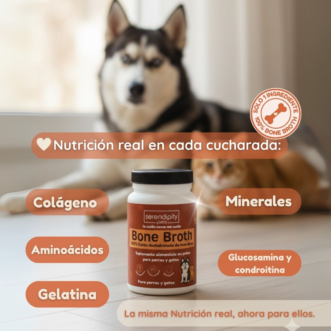 Frasco de caldo de huesos en polvo para mascotas de Serendipity Pets, rodeado de ingredientes naturales como huesos de res, vegetales y colágeno, mostrando su composición 100% natural y nutritiva.