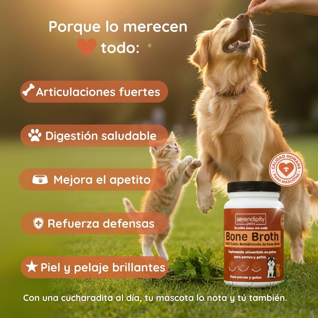 Infografía con los beneficios del caldo de huesos en polvo para perros y gatos: mejora la digestión, fortalece articulaciones, hidrata, estimula el apetito y aporta colágeno natura
