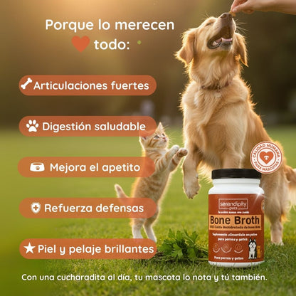 Infografía con los beneficios del caldo de huesos en polvo para perros y gatos: mejora la digestión, fortalece articulaciones, hidrata, estimula el apetito y aporta colágeno natura