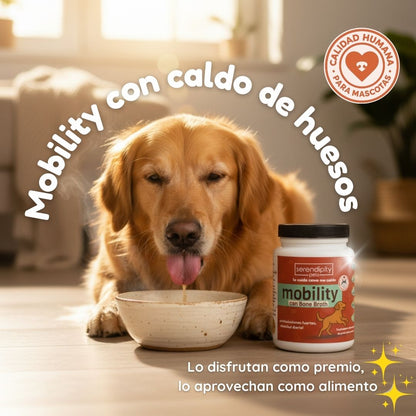 “Frasco de suplemento Mobility Serendipity Pets para perros y gatos, con caldo de huesos en polvo y nutrientes que apoyan articulaciones, movilidad y bienestar de mascotas