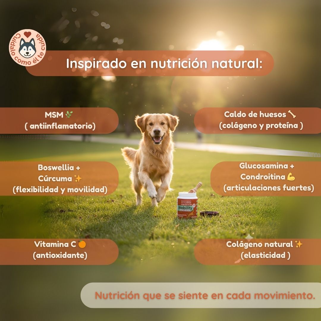 “Frasco de suplemento Mobility Serendipity Pets para perros y gatos, con caldo de huesos en polvo y nutrientes que apoyan articulaciones, movilidad y bienestar de mascotas