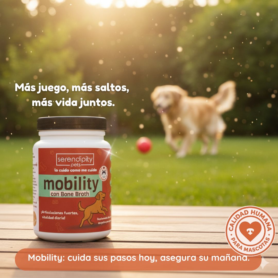 “Frasco de suplemento Mobility Serendipity Pets para perros y gatos, con caldo de huesos en polvo y nutrientes que apoyan articulaciones, movilidad y bienestar de mascotas