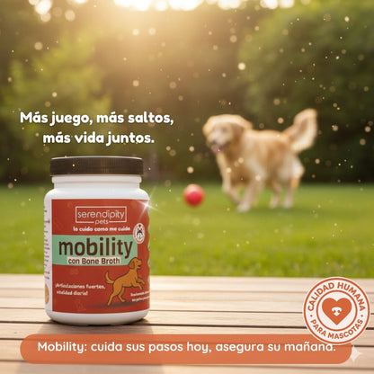 “Frasco de suplemento Mobility Serendipity Pets para perros y gatos, con caldo de huesos en polvo y nutrientes que apoyan articulaciones, movilidad y bienestar de mascotas